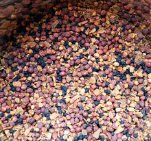 Load image into Gallery viewer, Radiant Heart Tonic