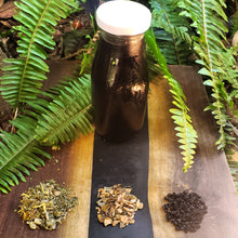 Load image into Gallery viewer, Elderberry Syrup and Runner's Lungs Set